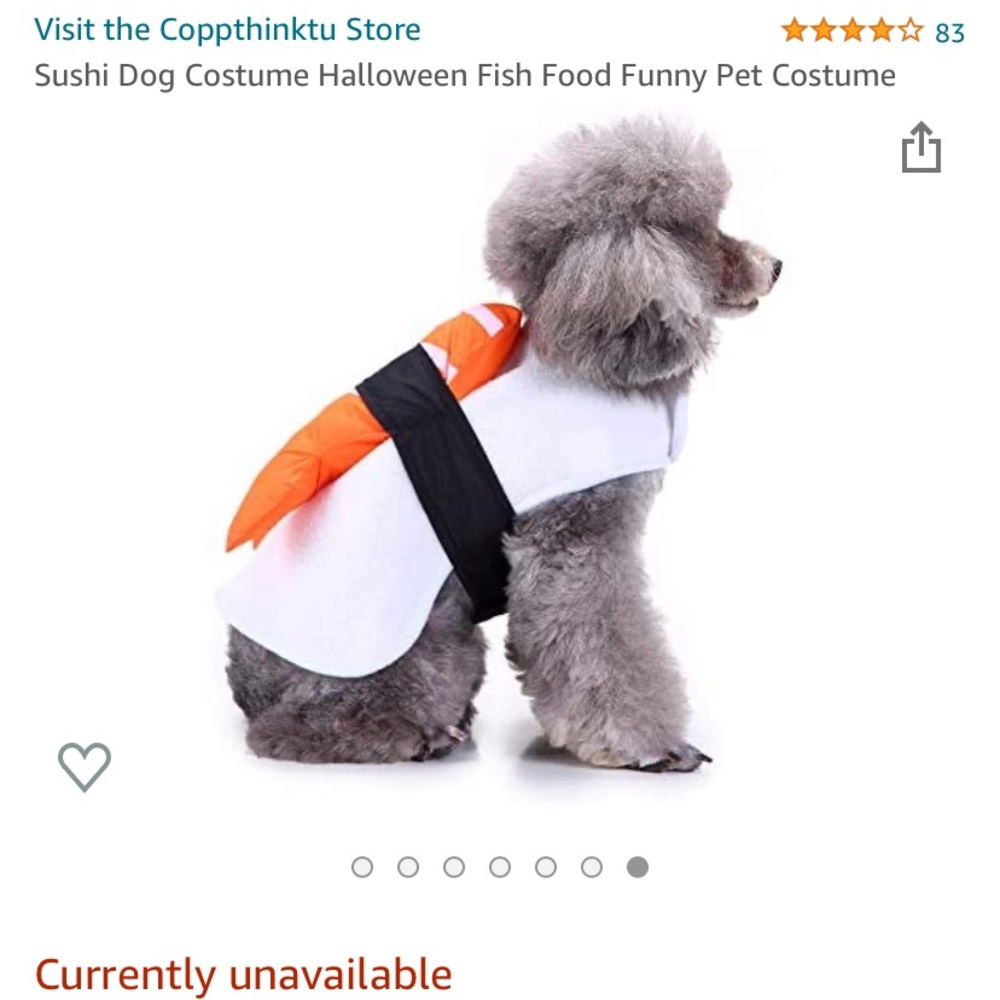 New sushi costume